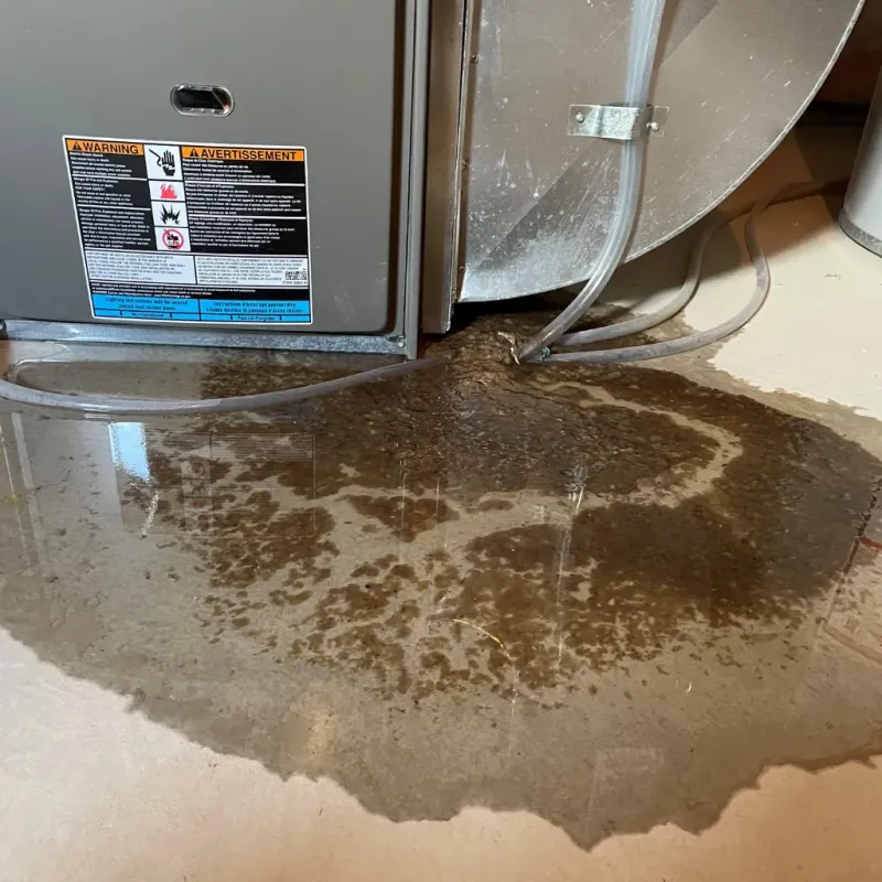 Appliance Leak Cleanup in Clinton County, KY